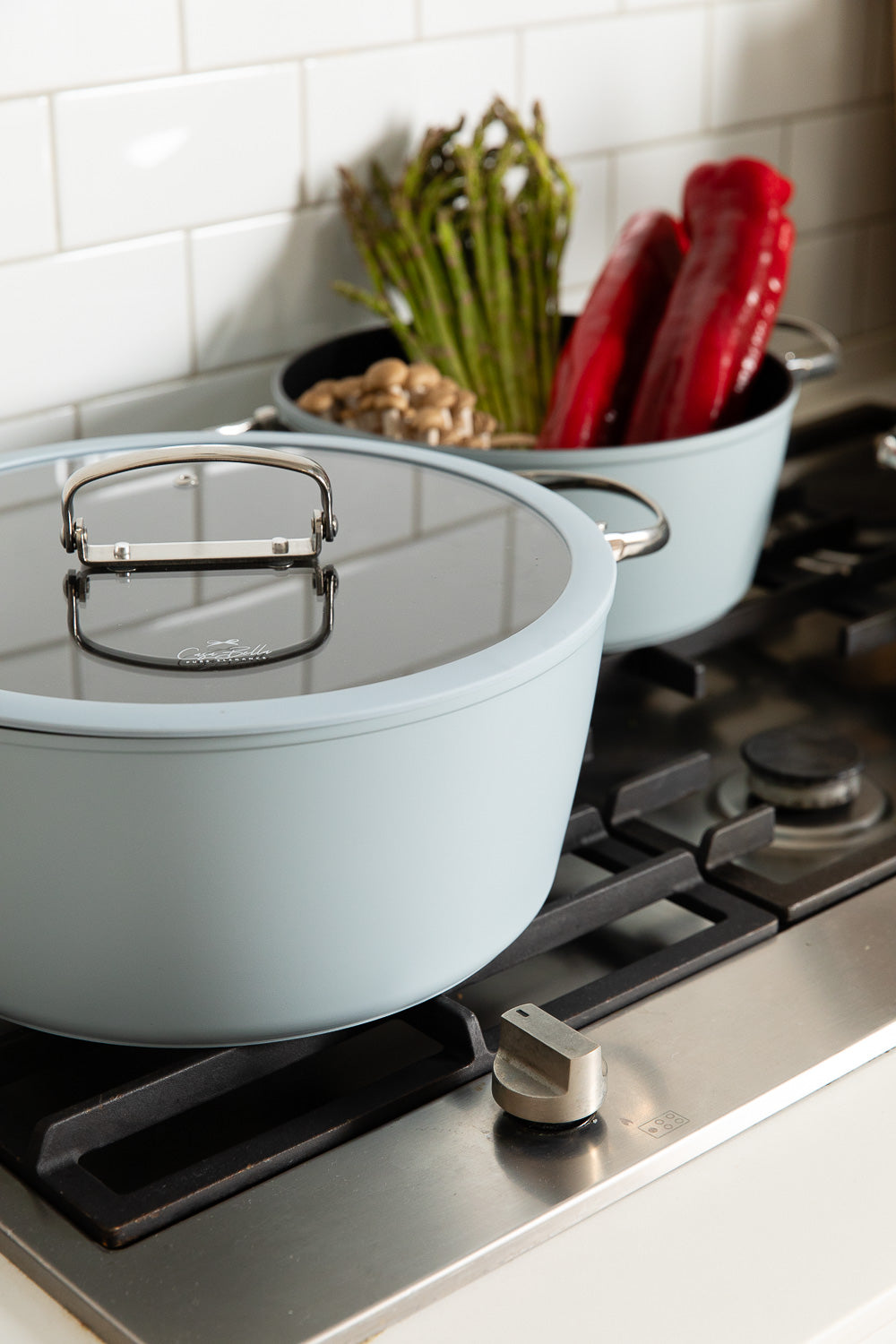Premium Nesting Cookware Set with Foldable Handles